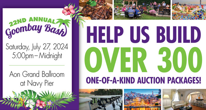 Donate to Goombay Bash Live & Silent Auctions!