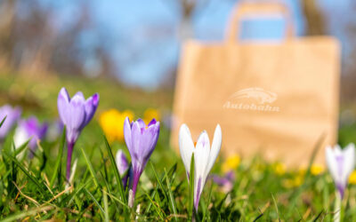 Spring Shopping